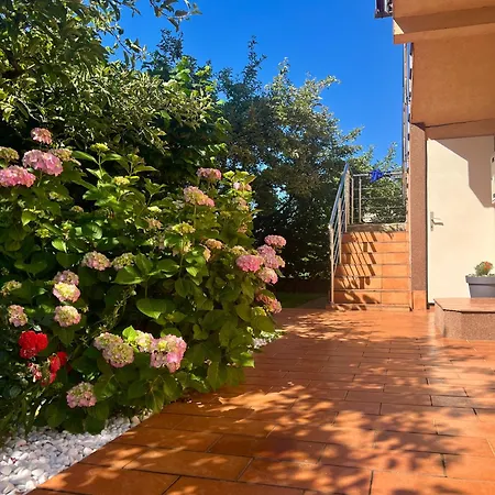 Garden - Free Parking