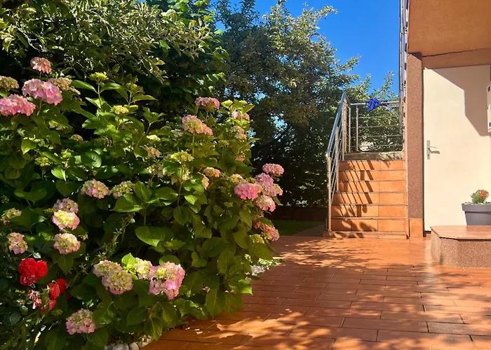 Garden - Free Parking